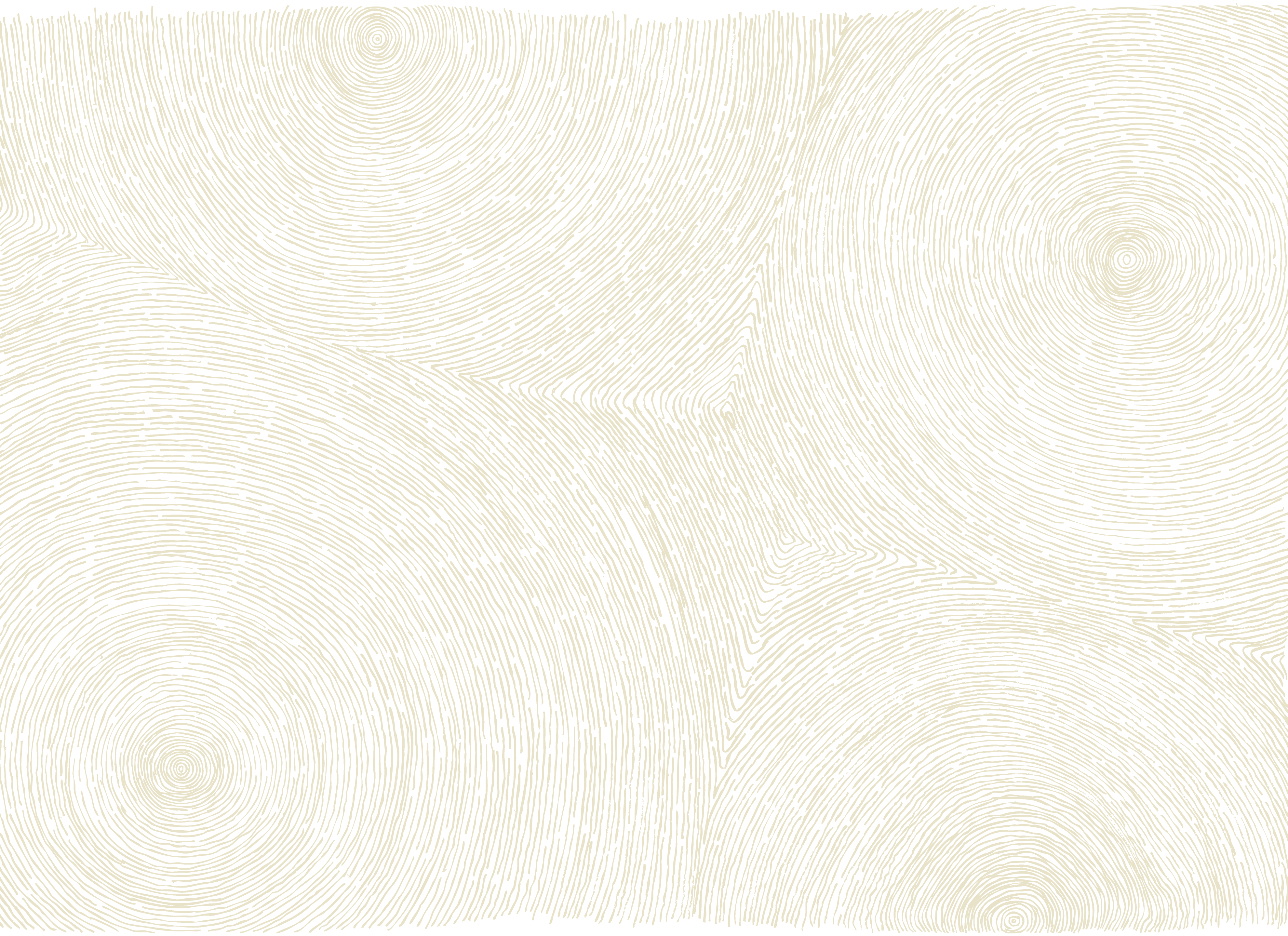 メニュー背景