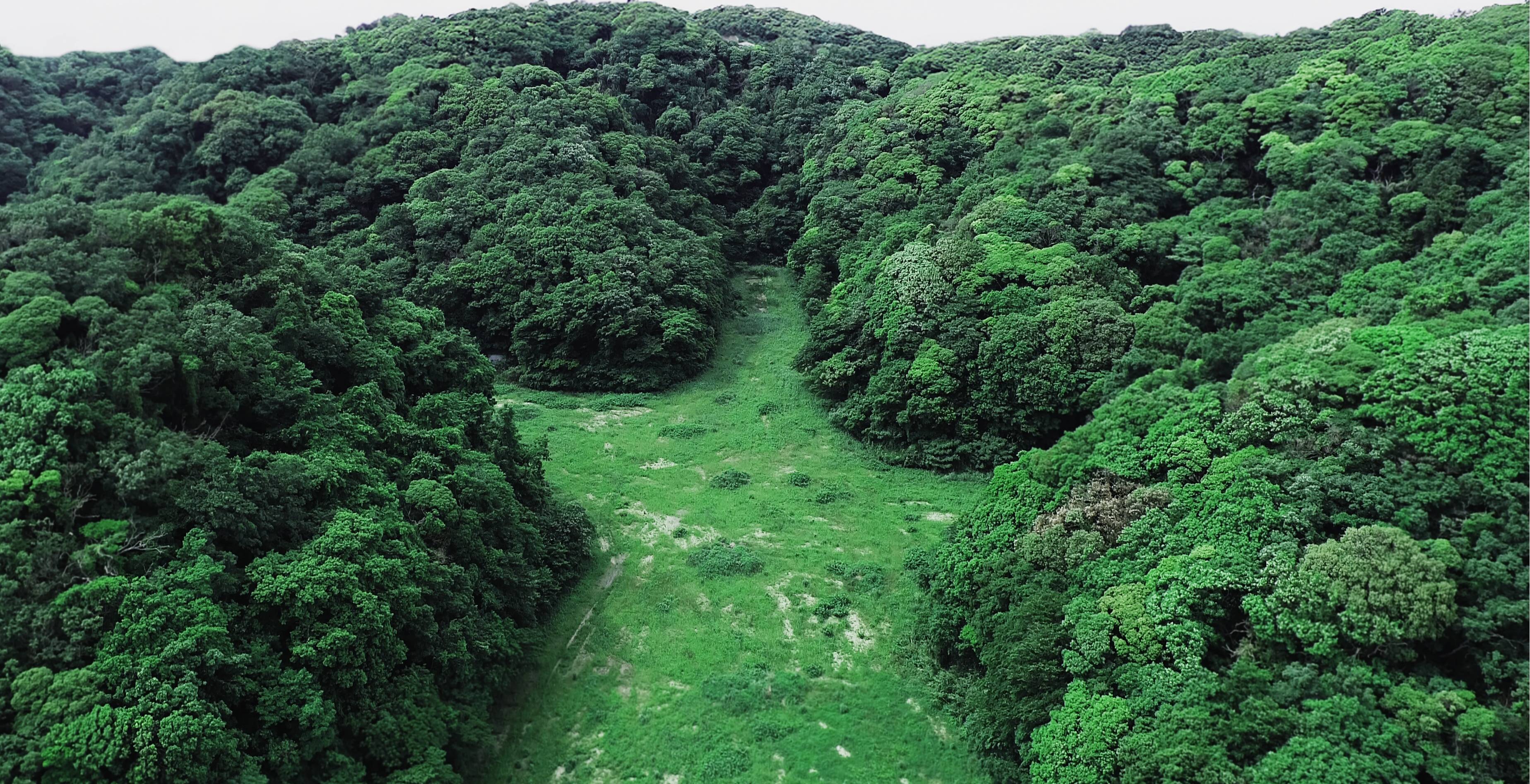 MEZAME VALLEY 大矢部みどりの公園 トップ画像